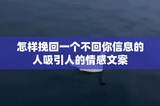 怎样挽回一个不回你信息的人吸引人的情感文案