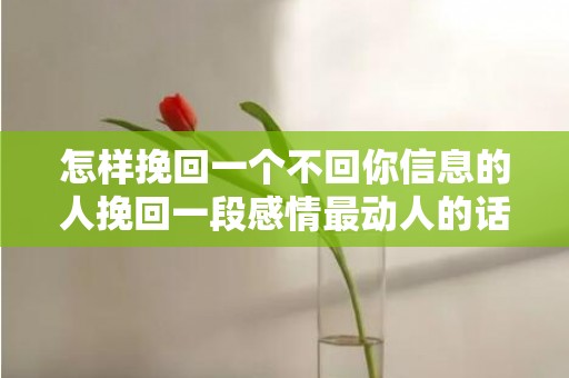 怎样挽回一个不回你信息的人挽回一段感情最动人的话