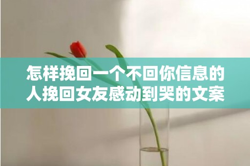 怎样挽回一个不回你信息的人挽回女友感动到哭的文案