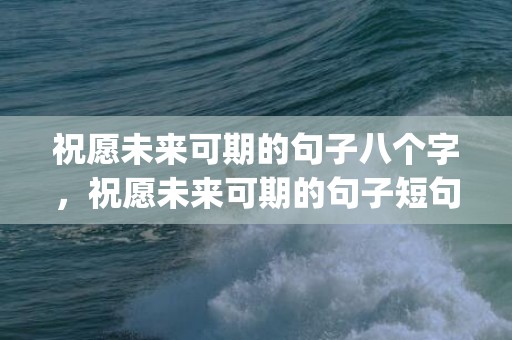 祝愿未来可期的句子八个字，祝愿未来可期的句子短句古风(祝愿前程似锦的古风句子)