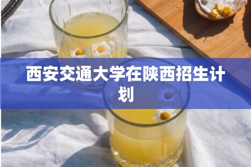 西安交通大学在陕西招生计划