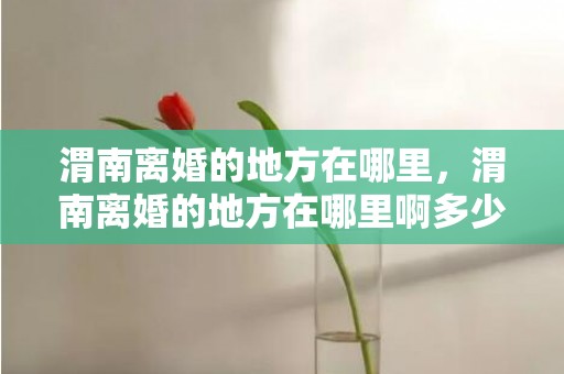 渭南离婚的地方在哪里，渭南离婚的地方在哪里啊多少钱