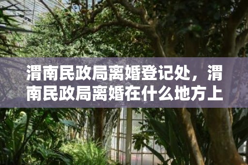 渭南民政局离婚登记处，渭南民政局离婚在什么地方上班时间