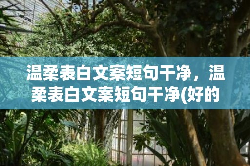 温柔表白文案短句干净，温柔表白文案短句干净(好的文案句子)