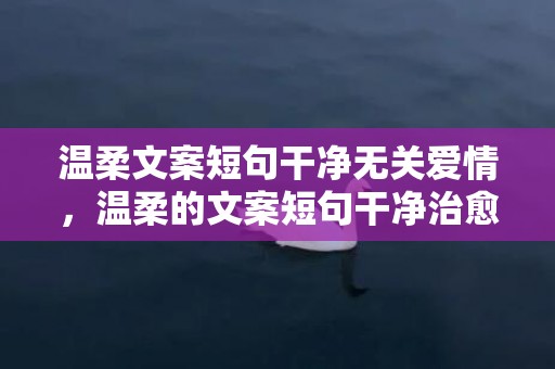 温柔文案短句干净无关爱情，温柔的文案短句干净治愈？热爱生活高级文案句子