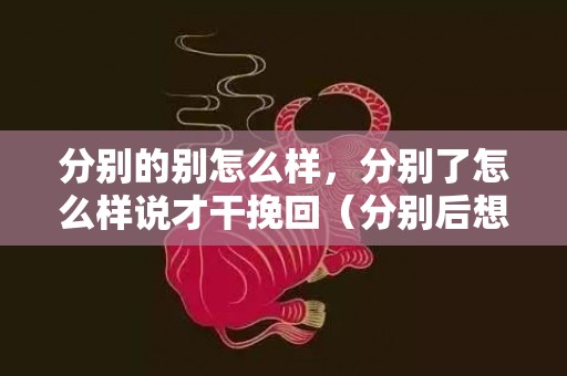 分别的别怎么样，分别了怎么样说才干挽回（分别后想挽留怎么说）