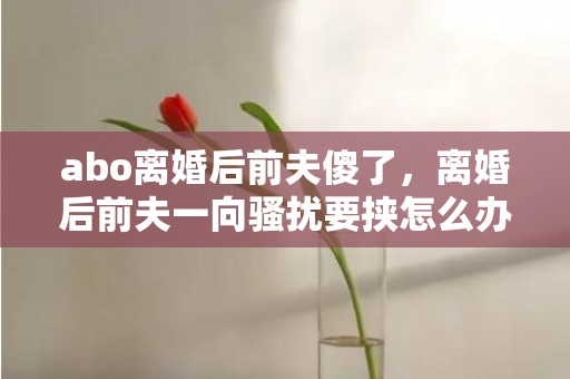 abo离婚后前夫傻了，离婚后前夫一向骚扰要挟怎么办（离婚后总被前夫打德律风骚扰怎么办）