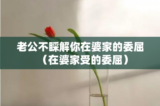 老公不睬解你在婆家的委屈（在婆家受的委屈）