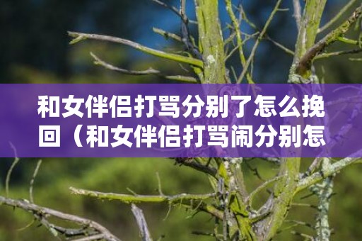 和女伴侣打骂分别了怎么挽回（和女伴侣打骂闹分别怎么办）