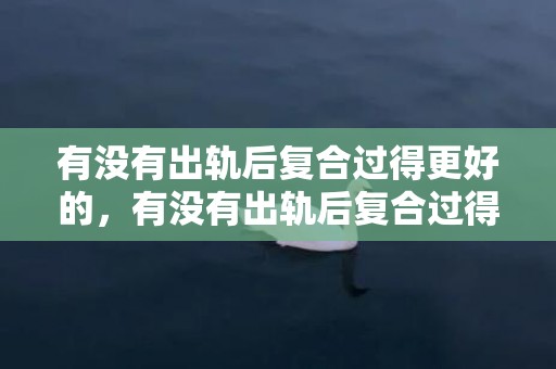 有没有出轨后复合过得更好的，有没有出轨后复合过得更好的（跟出轨的人又复合了）