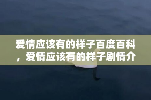 爱情应该有的样子百度百科，爱情应该有的样子剧情介绍大结局是什么意思呀