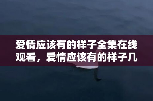 爱情应该有的样子全集在线观看，爱情应该有的样子几集公开