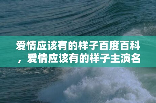 爱情应该有的样子百度百科，爱情应该有的样子主演名字是谁