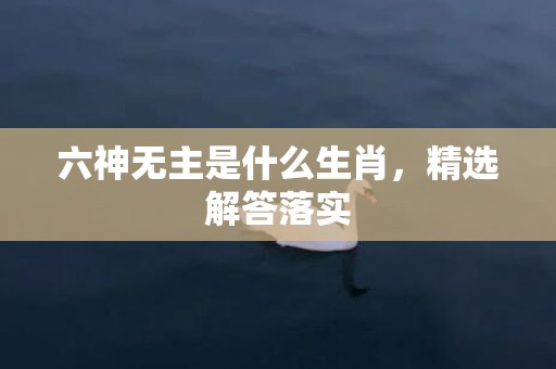 六神无主是什么生肖，精选解答落实