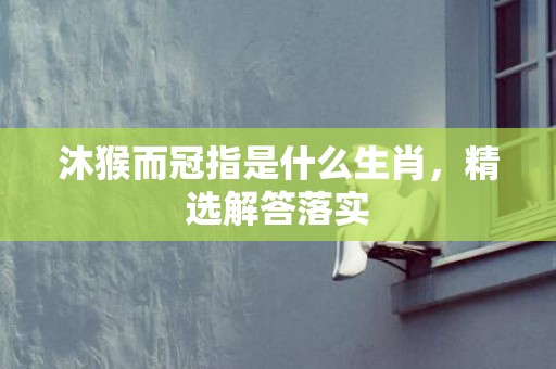 沐猴而冠指是什么生肖，精选解答落实