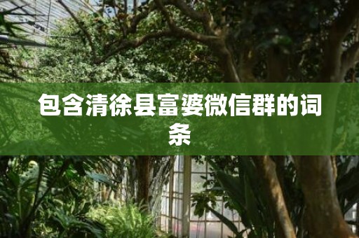 包含清徐县富婆微信群的词条