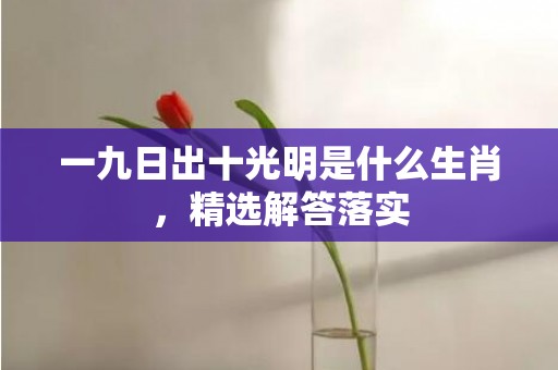 一九日出十光明是什么生肖，精选解答落实