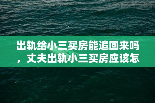 出轨给小三买房能追回来吗，丈夫出轨小三买房应该怎么做