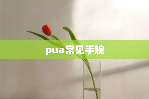 pua常见手腕