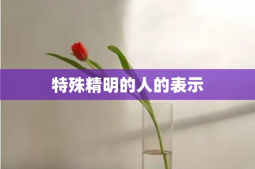 特殊精明的人的表示