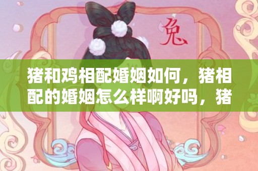 猪和鸡相配婚姻如何，猪相配的婚姻怎么样啊好吗，猪与猪相配婚姻如何