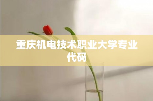 重庆机电技术职业大学专业代码