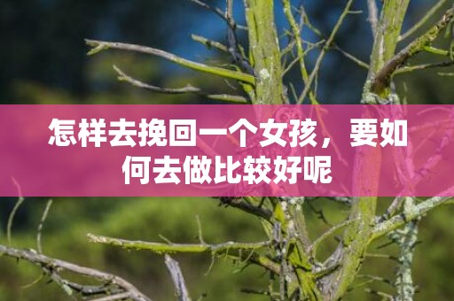 怎样去挽回一个女孩，要如何去做比较好呢