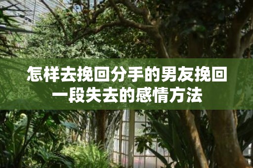 怎样去挽回分手的男友挽回一段失去的感情方法