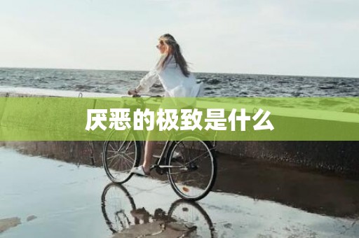 厌恶的极致是什么