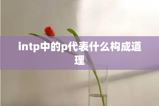 intp中的p代表什么构成道理