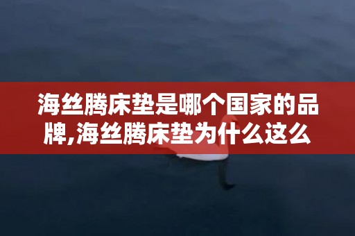 海丝腾床垫是哪个国家的品牌,海丝腾床垫为什么这么贵