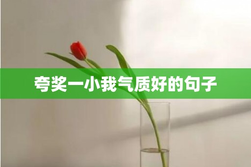 夸奖一小我气质好的句子