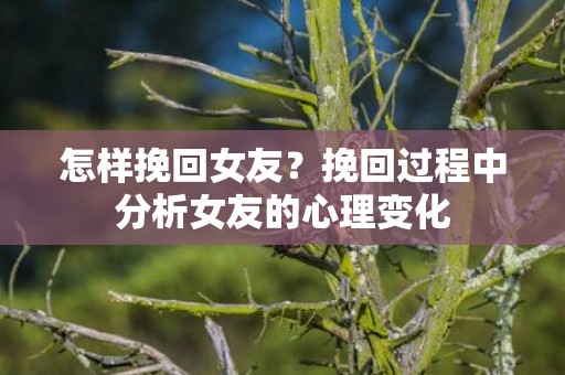 怎样挽回女友？挽回过程中分析女友的心理变化