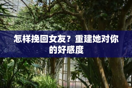 怎样挽回女友？重建她对你的好感度