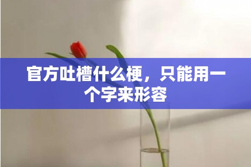 官方吐槽什么梗，只能用一个字来形容