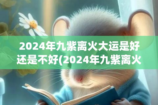 2024年九紫离火大运是好还是不好(2024年九紫离火运什么人行运)