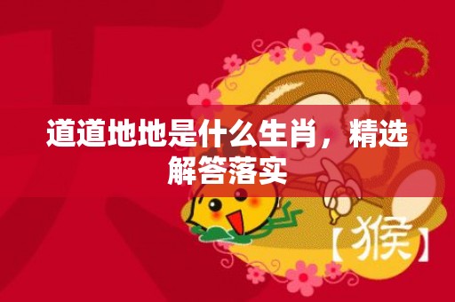 道道地地是什么生肖，精选解答落实