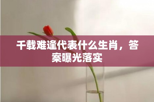 千载难逢代表什么生肖，答案曝光落实