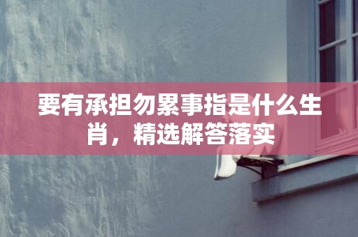 要有承担勿累事指是什么生肖，精选解答落实