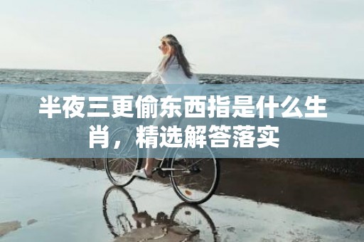 半夜三更偷东西指是什么生肖，精选解答落实