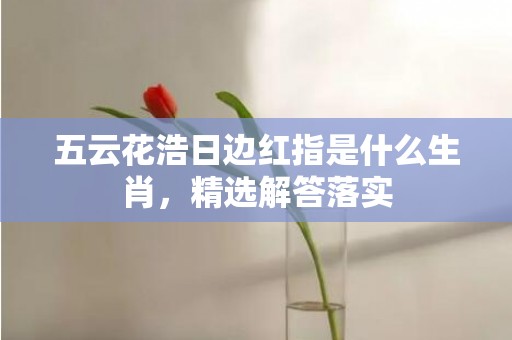 五云花浩日边红指是什么生肖，精选解答落实