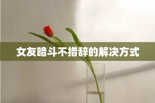 女友暗斗不措辞的解决方式