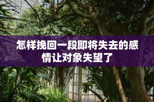 怎样挽回一段即将失去的感情让对象失望了