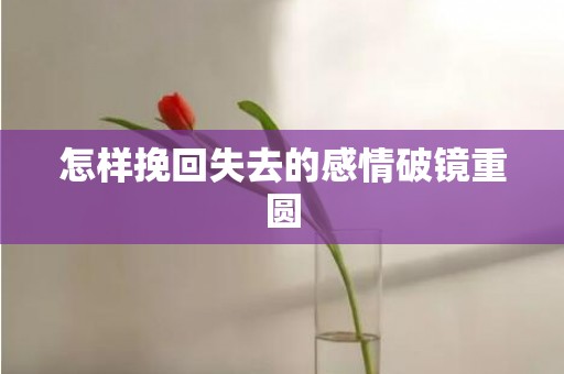 怎样挽回失去的感情破镜重圆