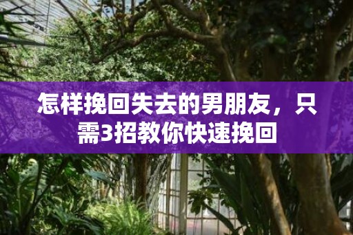 怎样挽回失去的男朋友，只需3招教你快速挽回