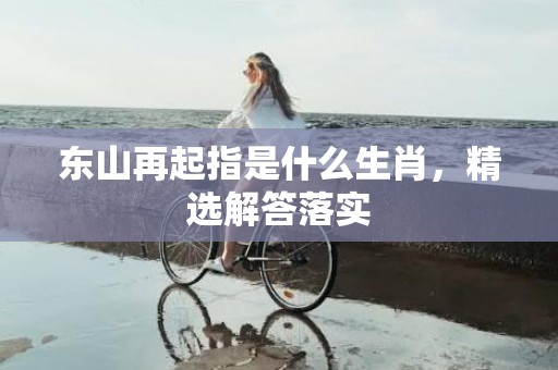 东山再起指是什么生肖，精选解答落实