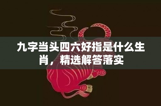 九字当头四六好指是什么生肖，精选解答落实