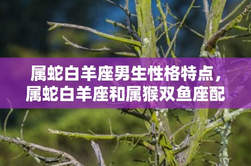 属蛇白羊座男生性格特点，属蛇白羊座和属猴双鱼座配对指数几颗星