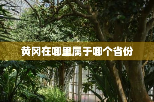 黄冈在哪里属于哪个省份