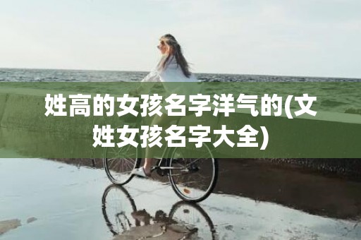 姓高的女孩名字洋气的(文姓女孩名字大全)